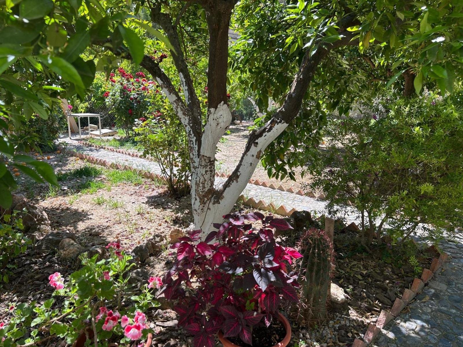 La Despensa Del Valle Restabal Bagian luar foto