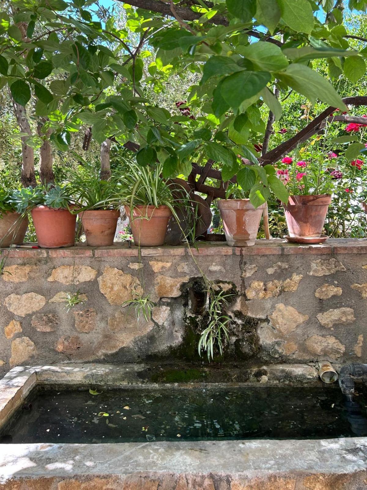 La Despensa Del Valle Restabal Bagian luar foto